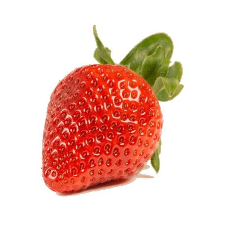 Barquette de fraises gariguettes
